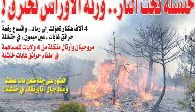 4 آلاف هكتار تتحوّل إلى رماد.. واتساع رقعة حرائق غابات “عين ميمون” في خنشلة!